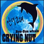 앨범 정보>멜론 안녕 고래 (Bye-Bye Whale) - 크라잉넛 (CRYING NUT)