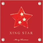 앨범 정보>멜론 2008 Xing Star 캐롤 앨범 - 씽 스타