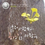 앨범 정보>멜론 우리 사랑 안에 하느님 사랑이 - 갓등 중창단