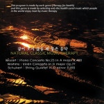 2 In A Minor Op.51-2 - II. Andante Moderato (브람스 : 현악 4중주 2번 가단조 작품번호 51-2 - 2악장) - Various Artists