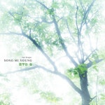 앨범 정보>멜론 꿈꾸는 숲 - 송미영