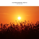 5 In E Flat Minor Op.39 (라흐마니노프 : 회화적 연습곡 5번 내림 마단조 작품번호 39) - Various Artists