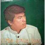 곡 정보>멜론 최진사댁 셋째딸 - 나훈아