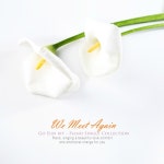 곡 정보>멜론 다시 만난 우리 - 고은빛