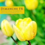 앨범 정보>멜론 행복해지고 싶은 당신을 위한 클래식 명작 모음집 - Various Artists