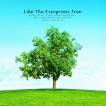 앨범 정보>멜론 늘 푸른 나무처럼 - 정희수