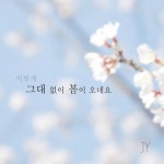 앨범 정보>멜론 그대 없이 봄이 오네요 - 재영