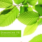 앨범 정보>멜론 청명하고 맑은 감성의 태교 음악 모음집 (명품 클래식) - 태교 마을