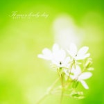 앨범 정보>멜론 기분 좋은 하루 - 정희수