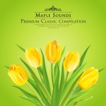 곡 정보>멜론 Haydn : Keyborad Sonata In E Major Hob.XVI/31 - II. Allegretto (하이든 : 건반 소나타 마장조 - 2악장) - Various... 