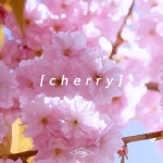 나우플레잉 상세>멜론 최 하 늘 (C H E R R Y)