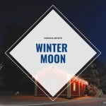 앨범 정보>멜론 Winter Moon - Various Artists