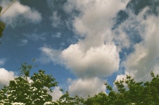 멜론매거진>멜론 쉼과 비움을 담백한 연주로 담다. 정환호 [오롯이]