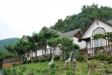 WIKITREE | 숲속 펜션들 “산청엑스포, 숙박 걱정 없네” 숲속 펜션들 “산청엑스포, 숙박 걱정 없네”