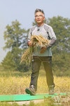 파주 논두렁 런웨이 만든 식사하셨어요? 식구들 | 위키트리 파주 논두렁 런웨이 만든 식사하셨어요? 식구들