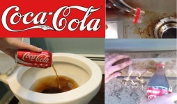 콜라의 예상 밖 활용법 5가지 | 위키트리 콜라의 예상 밖 활용법 5가지