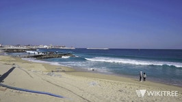 인생샷 성지! 김신♥지은탁 다녀간 주문진 도깨비 촬영장 상황 | 위키트리 인생샷 성지! 김신♥지은탁 다녀간 주문진 도깨비 촬영장 상황