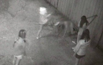 “부산 여중생 폭행 동영상 유포하면 명예훼손죄로 처벌” 검찰 경고 | 위키트리 “부산 여중생 폭행 동영상 유포하면 명예훼손죄로 처벌” 검찰...