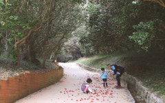 광양시민 소풍가는 날 ‘제2회 옥룡사지 동백 숲 문화행사’ 개최 | 위키트리 광양시민 소풍가는 날 ‘제2회 옥룡사지 동백 숲 문화행사’ 개최