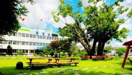 [인사] 곡성군 | 위키트리 [인사] 곡성군