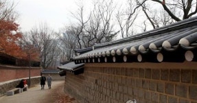 오늘(7일) 60년 만에 1.1km 전 구간 개방하는 덕수궁 돌담길 | 위키트리 오늘(7일) 60년 만에 1.1km 전 구간 개방하는 덕수궁 돌담길