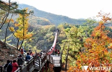 파주시민, DMZ관광 시설사용료 50% 감면 | 위키트리 파주시민, DMZ관광 시설사용료 50% 감면