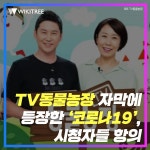 TV 동물농장에 자막에 등장한 코로나19, 시청자들 항의 | 위키트리 TV 동물농장에 자막에 등장한 코로나19, 시청자들 항의