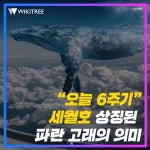 “오늘 6주기” 세월호 상징된 파란 고래의 의미 | 위키트리 “오늘 6주기” 세월호 상징된  파란 고래의 의미