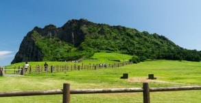 [속보] 제주 성산일출봉에서 화재…오름능선으로 불 확산 | 위키트리 [속보] 제주 성산일출봉에서 화재…오름능선으로 불 확산