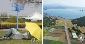  부처님오신날 초여름 성큼…대구 낮 최고 28도까지 올라  | 위키트리   부처님오신날 초여름 성큼…대구 낮 최고 28도까지 올라 