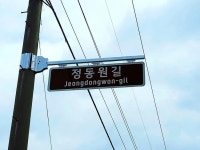 미스터트롯 정동원, 14살에 이것까지 플렉스 해버렸다 | 위키트리 미스터트롯 정동원, 14살에 이것까지 플렉스 해버렸다