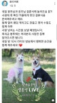 “벌써 장가를...” 올리버쌤 강아지 왕자와 공주의 생중계 결혼식 | 위키트리 “벌써 장가를...” 올리버쌤 강아지 왕자와 공주의 생중계 결혼식