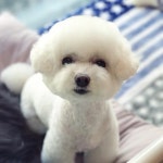 9년 차 연예계 대표 커플 정경호♥수영…달달한 근황 전해졌다 | 위키트리 9년 차 연예계 대표 커플 정경호♥수영…달달한 근황 전해졌다