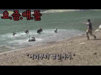 “’머리부터 발끝까지…’하면 생각나는 것은?” (충격적으로 업데이트된 ver.) | 위키트리 “’머리부터 발끝까지…’하면 생각나는 것은?... 