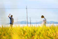 [Wiki 단독화보] 감성충만 오느른...가을 힐링 먼저 만나보자 (feat.... 김제) | 위키트리 [Wiki 단독화보] 감성충만 오느른...가을 힐링 먼저... 