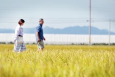 [Wiki 단독화보] 감성충만 오느른...가을 힐링 먼저 만나보자 (feat.... 김제) | 위키트리 [Wiki 단독화보] 감성충만 오느른...가을 힐링 먼저... 