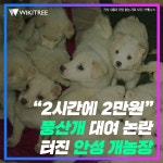 2시간에 2만원 풍산개 대여 논란 터진 안성 개농장 | 위키트리 2시간에 2만원 풍산개 대여 논란 터진 안성 개농장