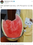 “카톡까지 공개…” 박지선 SNS에 유난히 많이 올라왔던 글 (캡처) | 위키트리 “카톡까지 공개…” 박지선 SNS에 유난히 많이 올라왔던 글... 