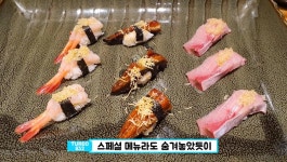 “이게 14만원?” 양을 보면 숨이 턱 막힌다는 강남의 횟집 (20만원... 14만원?” 양을 보면 숨이 턱 막힌다는 강남의 횟집 (20만원 코스 영상·사진)