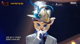 노래만 들으면... 판정단 눈물바다 만들고 7연승 가왕 된 부뚜막 고양이 (영상) | 위키트리 노래만 들으면... 판정단 눈물바다 만들고 7연승... 
