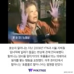 전설의 인터뷰 영상 전 국민이 아는 호롤롤로 할머니 근황 | 위키트리 전설의 인터뷰 영상 전 국민이 아는 호롤롤로 할머니 근황