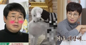 어머나… 팽현숙♥최양락 부부, 19금 장면 마주하고 개당황했다 | 위키트리 어머나… 팽현숙♥최양락 부부, 19금 장면 마주하고 개당황했다 