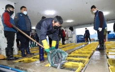 신축년 새해~강진군 마량항 위판장 열기 | 위키트리 신축년 새해~강진군 마량항 위판장 열기