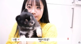 '뒷광고 논란' 나름, 5개월 만에 갑자기 '이 영상'으로 복귀했다 (영상) | 위키트리 '뒷광고 논란' 나름, 5개월 만에 갑자기 '이 영상'으로 복귀했다... 
