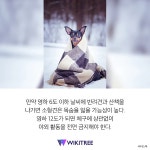 겨울 산책 시 확인 해야할 ‘강아지들이 추위 느끼는 온도’ | 위키트리 겨울 산책 시 확인 해야할 ‘강아지들이 추위 느끼는 온도’