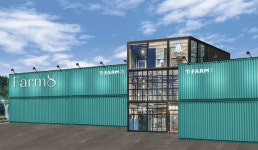 양상추로 1년에 590억 벌어들인 한국회사… 그런데 농장이 이상한 곳에 있습니다 (사진) | 위키트리 양상추로 1년에 590억 벌어들인 한국회사... 