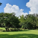“가고 싶어도…” 인기 폭발한 윤스테이 숙소, 뜻밖의 근황 전해졌다 | 위키트리 “가고 싶어도…” 인기 폭발한 윤스테이 숙소, 뜻밖의 근황... 
