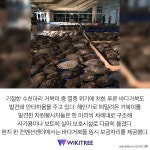 한파로 온몸 마비된 채 기절한 바다거북 3500마리 구조 | 위키트리 한파로 온몸 마비된 채 기절한 바다거북 3500마리 구조