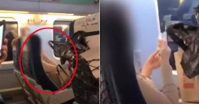  LH, 미세먼지로부터 안전한 버스정류장 시범도입 | 위키트리  LH, 미세먼지로부터 안전한 버스정류장 시범도입