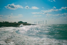 “다음달부터 제주 여행 가시는 분들 대환영할 서비스가 시작됩니다” (+이용 방법) | 위키트리 “다음달부터 제주 여행 가시는 분들 대환영할... 